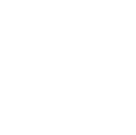 icon phone and tablet